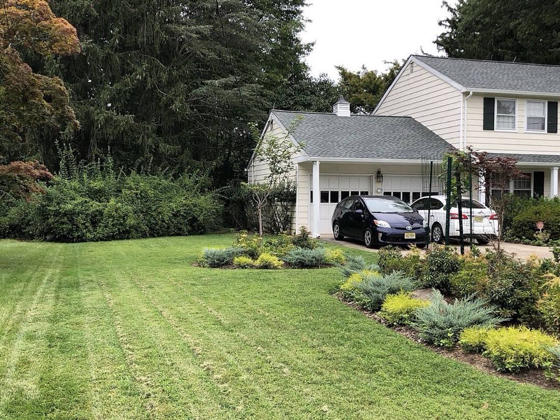 A tidy front yard after a full clean-up, grass cut and trimmed around the walk